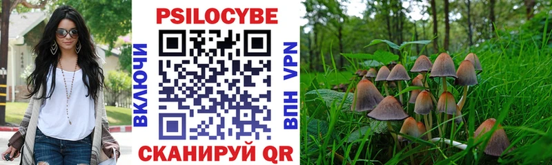 blacksprut ONION  Черногорск  Галлюциногенные грибы Psilocybe 