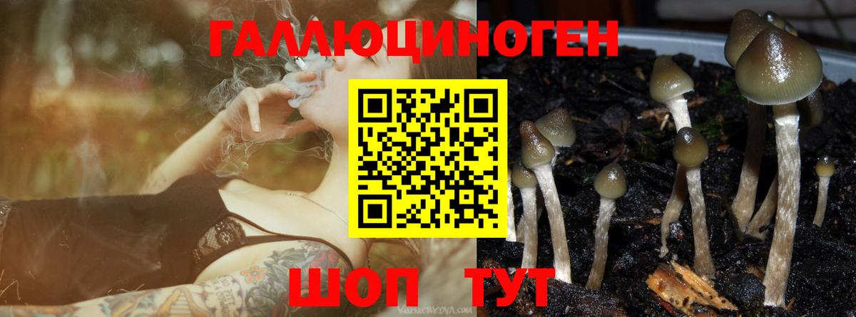 Псилоцибиновые грибы MAGIC MUSHROOMS Черногорск