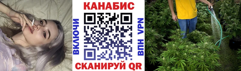 Конопля сатива  дарк нет формула  Черногорск 
